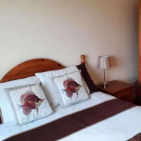 Tranquil Retreat At Ailt Tatil Evi